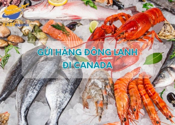 Cần tìm hiểu kỹ càng trước khi gửi hàng đông lạnh đi Canada để tránh gặp khó khăn về các thủ tục sau này